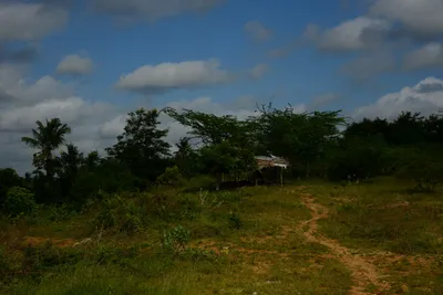 DSC_8029 (Large).JPG